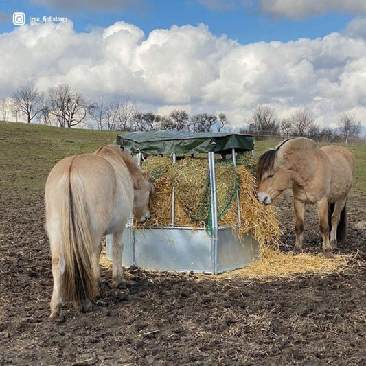 Hexagonal Feeder with Roof
