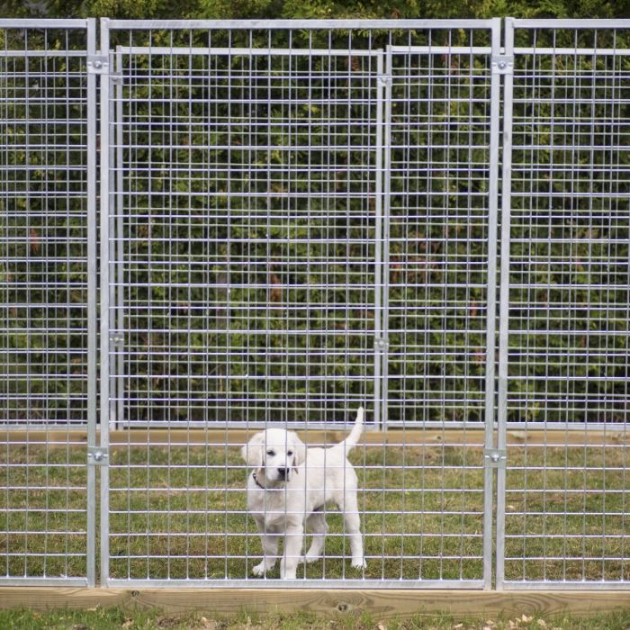 Pleasant clearance run kennel