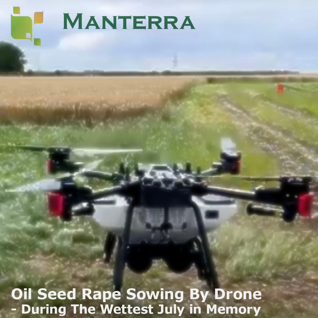 Oil Seed Rape Sowing By Drone