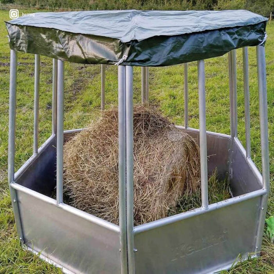 Hexagonal Feeder with Roof
